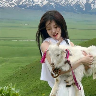 鲜血淋漓第三季